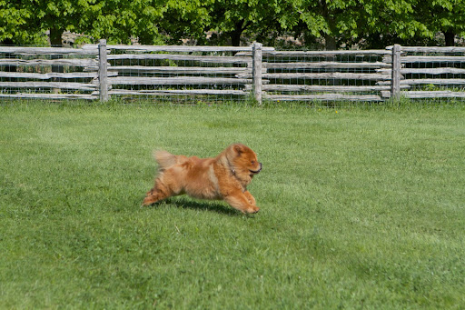 Yes!  I'm free and this feels great!