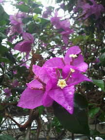 2011-04-13 13.44.41.jpg