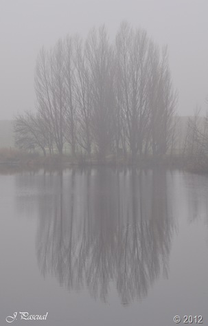 DSC_0169 DSC_0169