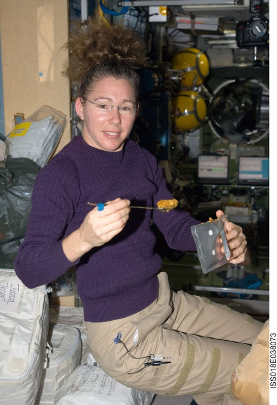 Sandra-Magnus-ISS-02 Sandra-Magnus-ISS-02