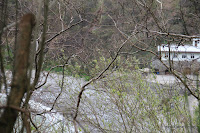 IMG_5982.JPG Photo