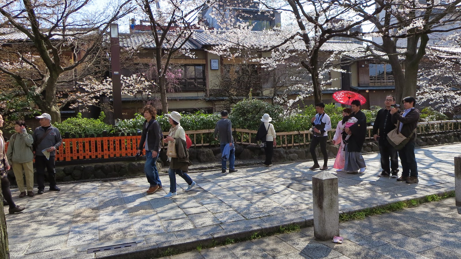 [IMG_2592%255B3%255D.jpg]