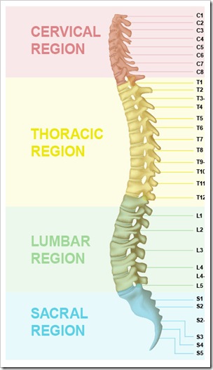 SB Spine Affected