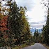 Mount Revelstoke NP, BC, Canadá