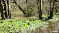 2011-04-17_13-39-08_177.jpg