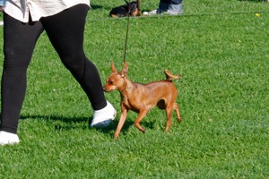 [nilla_movement_1%255B13%255D.jpg]