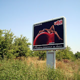 DSC01517.JPG