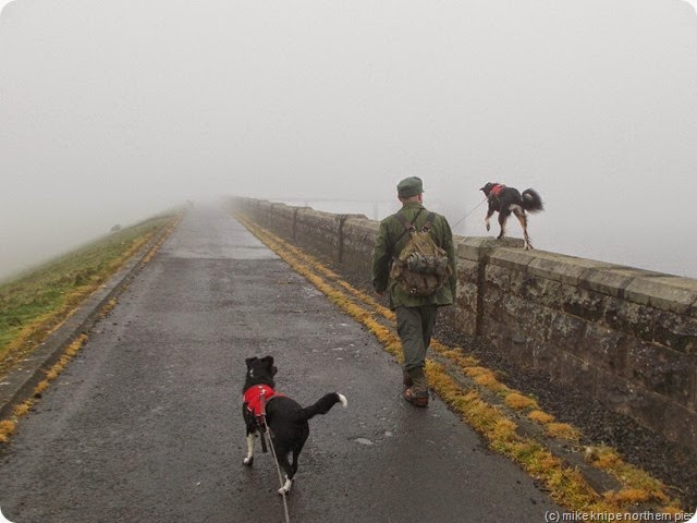 damp! damp!