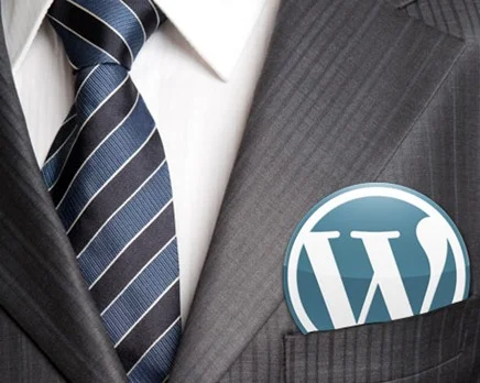 professional-wp professional-wp
