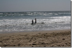 IMG_0430 IMG_0430