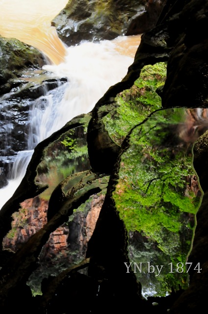 [DSC_5553%255B11%255D.jpg]