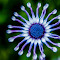 20120225KerbysNursery-170-2.jpg