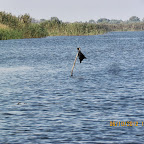 IMG_8040.JPG