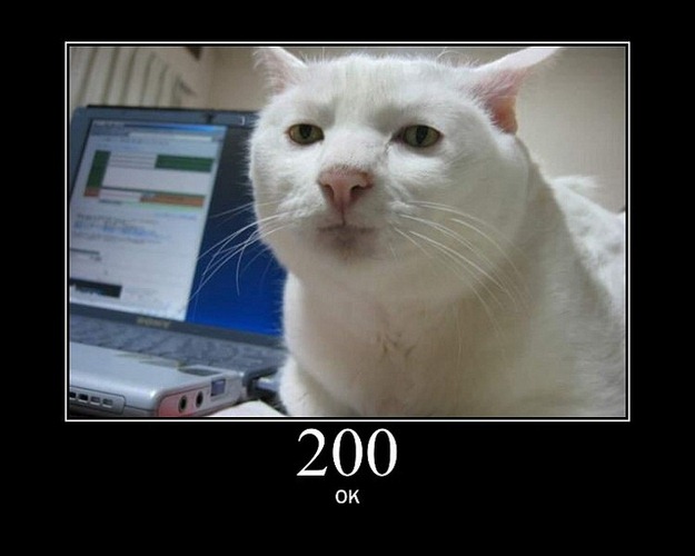 [HTTP-Status-Cats-02%255B2%255D.jpg]