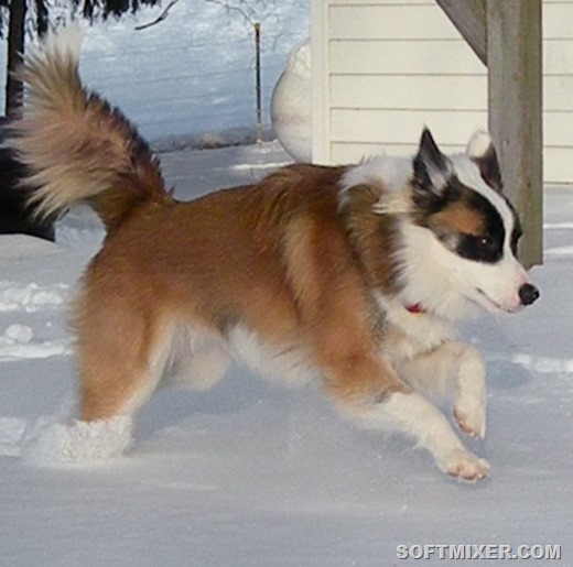 [pic2%255B15%255D.jpg]