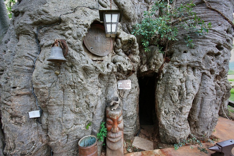 sunland-baobab-3 sunland-baobab-3