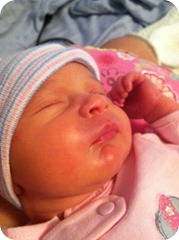 IMG_0215 IMG_0215