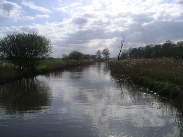 IMGP4466