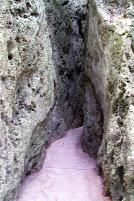 20060819_22_kenting_146.jpg