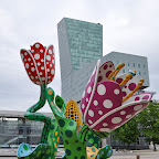 DSC_3348.jpg