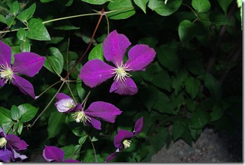 IMGP1844 IMGP1844