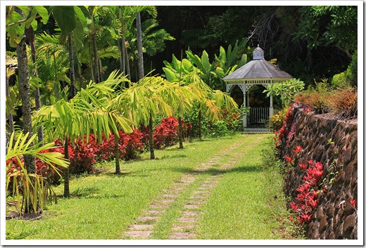 photos of yards indoor garden name