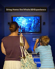 Visitors watch 3D movies at the South Plaza booth.