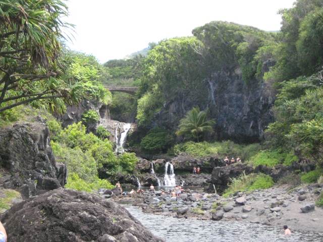 [IMG_2620%255B3%255D.jpg]