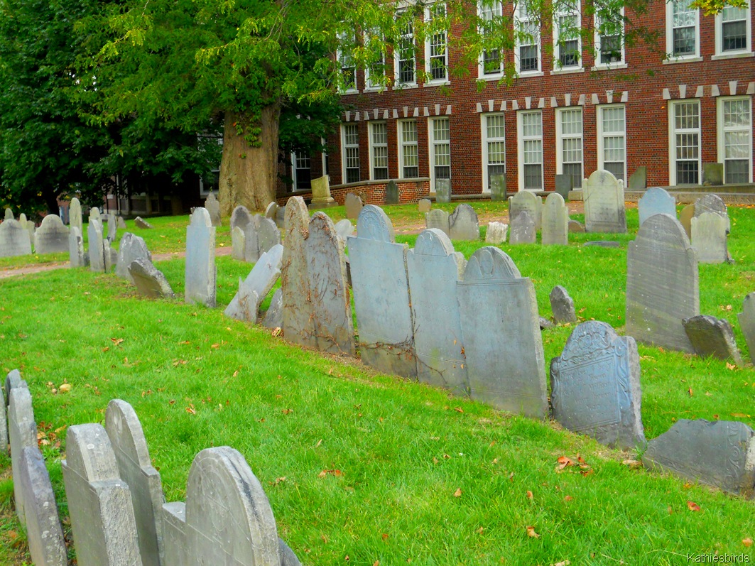 [3.%2520Copps%2520graveyard-kab%255B4%255D.jpg]