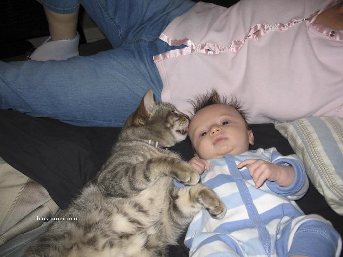 So Sweet Photos : You will smile for sure