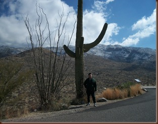 Saguaro06