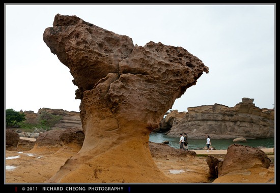 DSC_0717 DSC_0717
