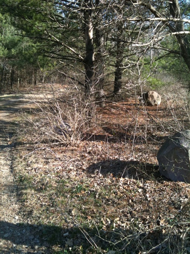 Here I am, at the foothills of the Poconos, in the middle of over 3,000 acres of land. Why, this is Beltzville State Park! My father, Maddox, told me all about this place. Here I am, at the foothills of the Poconos, in the middle of over 3,000 acres of land. Why, this is Beltzville State Park! My father, Maddox, told me all about this place.