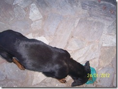 100_2399_resize 100_2399_resize