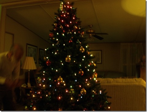 Christmas Tree 2011