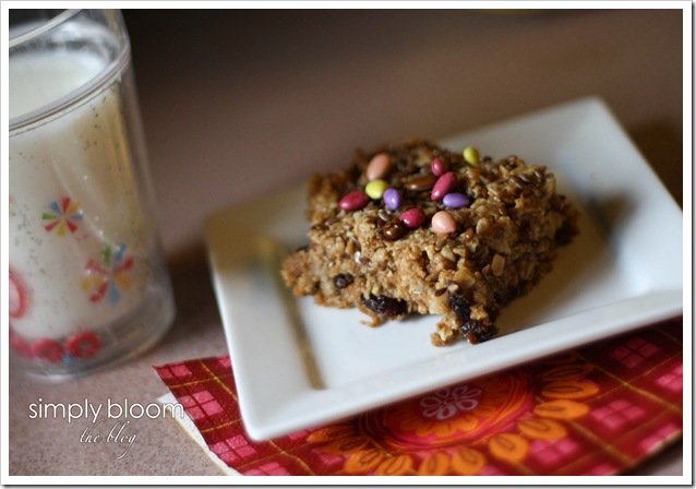 chocolate sunflower munchies (3 of 1)