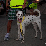 Pet Express Doggie Run 2012 Philippines. Jpg (10).JPG