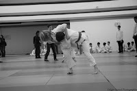 IMG_0740.jpg