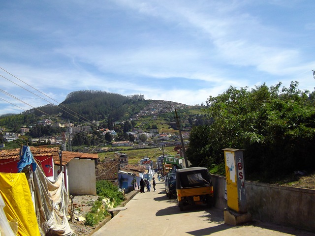 [Ooty53.jpg]