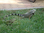 DSC01643.JPG