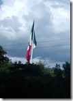 DSCF7650