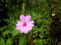 IMG_0894.JPG