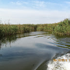 IMG_8011.JPG