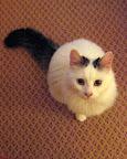 ö IMG_4028 - liten.jpg