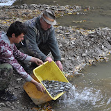 Topľa - vysádzanie podustvy na jeseň 2011