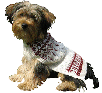 Alpakkagenser for hund: Red and White Snowflake