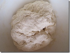 IMG_7893 IMG_7893