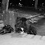 100_1855_DXO.jpg