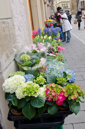 [Rothenburg-83%255B4%255D.jpg]