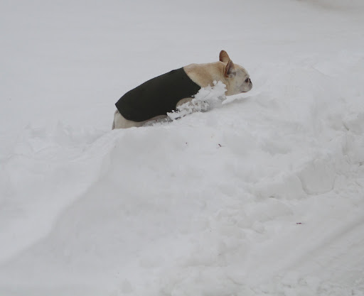 I'll need to leap over this embankment.